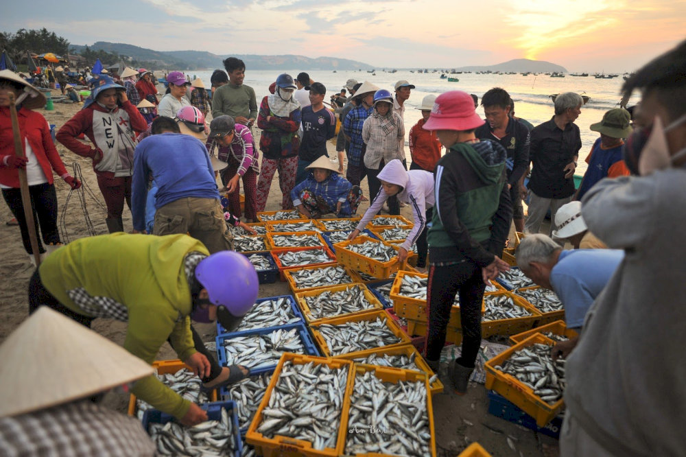 Bạn nên ghé làng chài vào buổi sáng